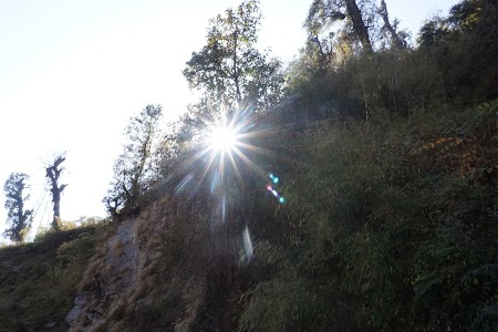 Bhusuk