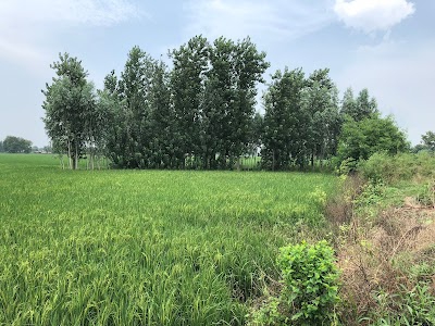 Ranjit Garhi