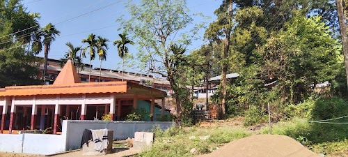 Jalalpur Tea Garden