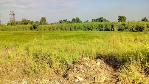 Vasai East Salt Plant, Vasai East
