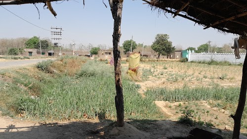 Kohla lamuiya harraiya satgharwa Balrampur