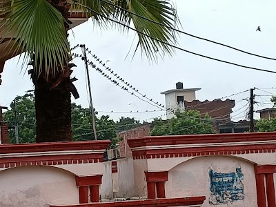 FAFUNDA