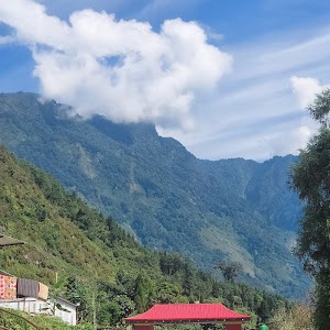 Sikkim University