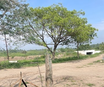 Varapatti