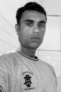 Chitra mahal