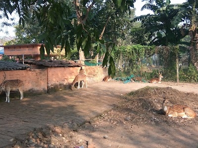 Kasba Narayangarh