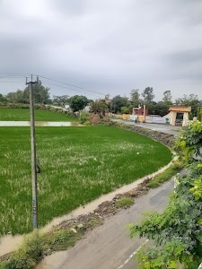 Makhu Majra