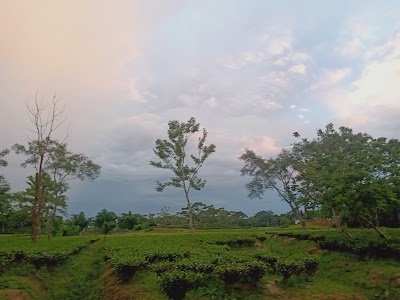 Kakragaon