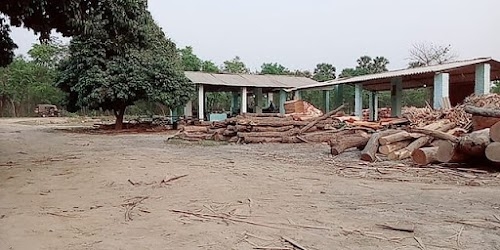 Lalbabu Prasad Ply wood Mill