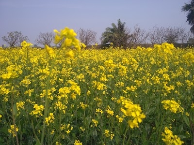Kunarpur