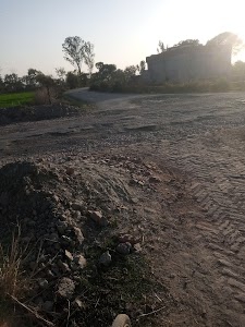 Koili purwa