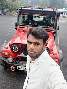 Salauli