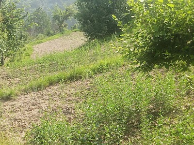 Jugar Gaon