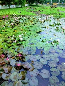Saras baug Pune Maharashtra