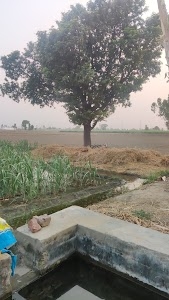 Raipur