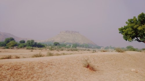 Sarsop