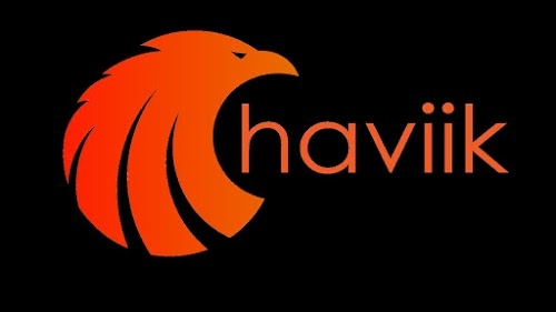 Haviik Digital Marketing Company & Training Institute