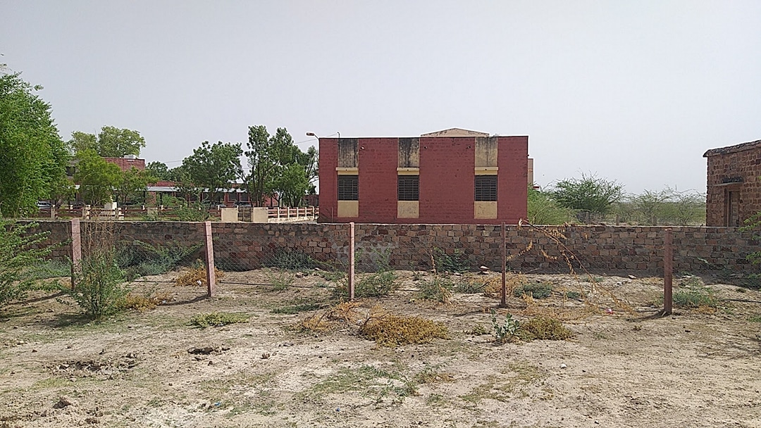 Sujla collage