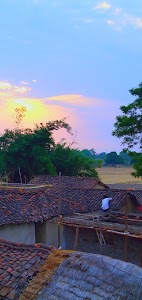 Turkagondar