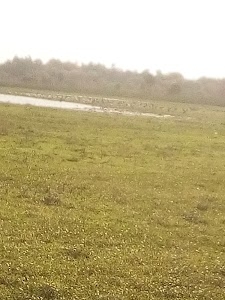 Indergarh