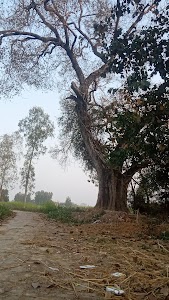 ईदगाह कटरिया याकूबपुर