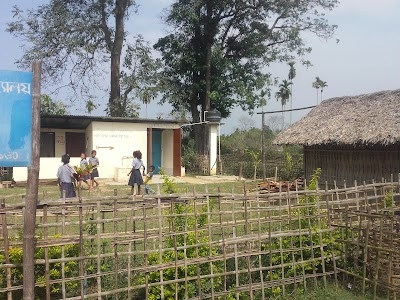 2 No Torani L P School