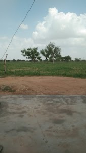 Modardi
