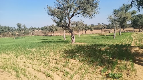 Dheersar