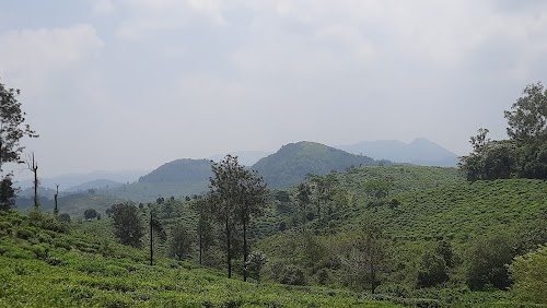 Kunjajeede Bajikada