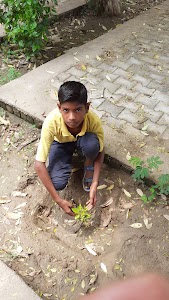 Government School Badowala