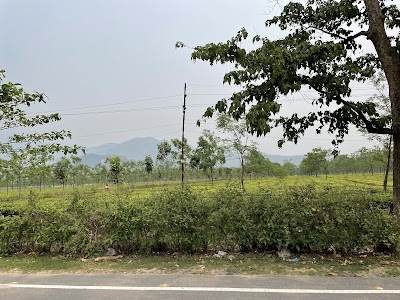 Check Post