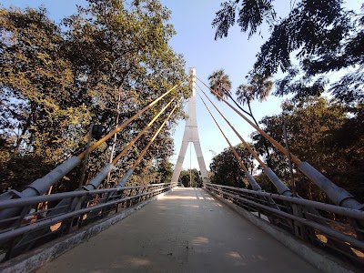 Cable bridge