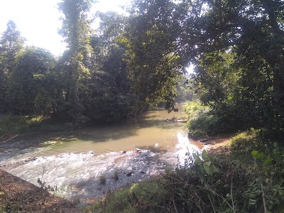 Bhadrasahi