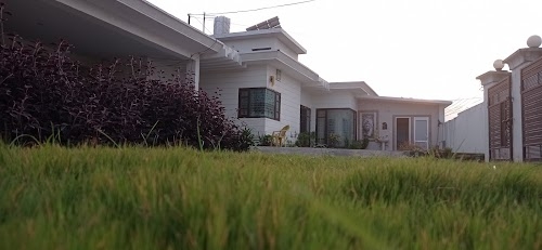 Singh farm bhambol