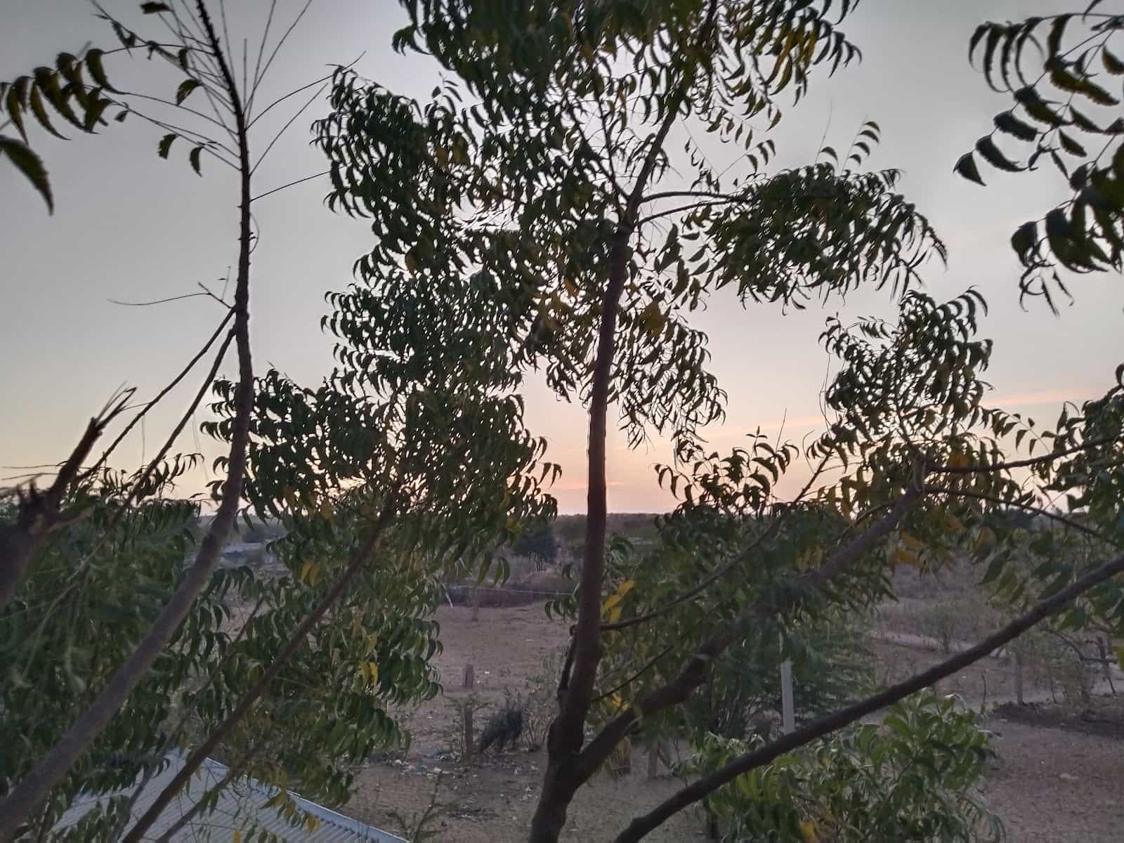 Shergarh