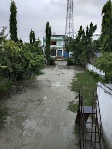 A V N School