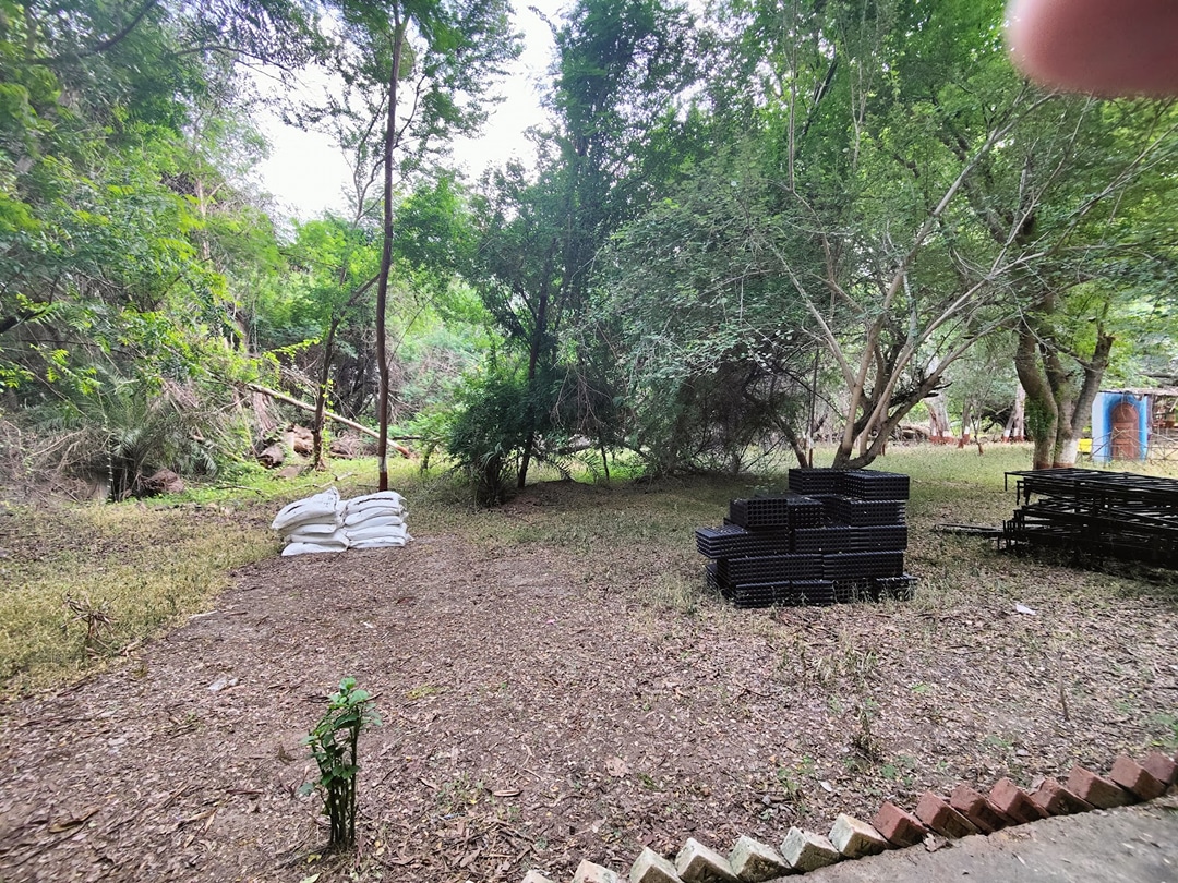 Bandiya Beli