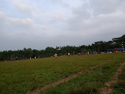 Hachi playground