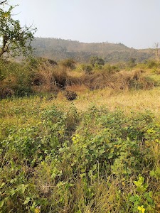 Budhavali
