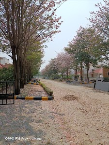 Reliance Green Village