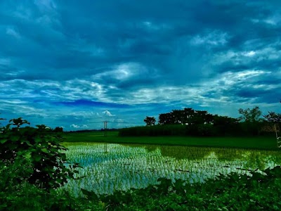 Harischandrapur