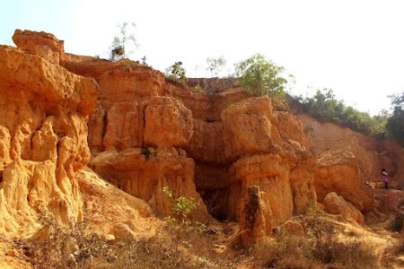 Shalimar