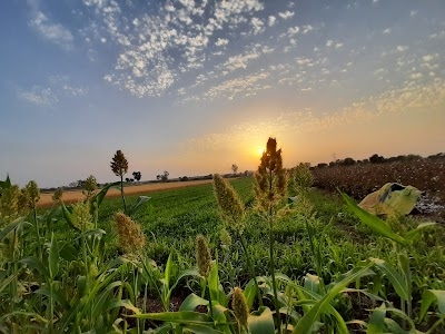 Thoriyali