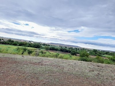 Hivatad