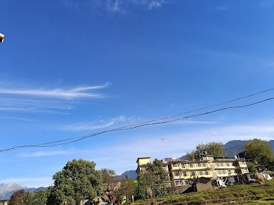 Suja