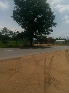 Petrol Pump