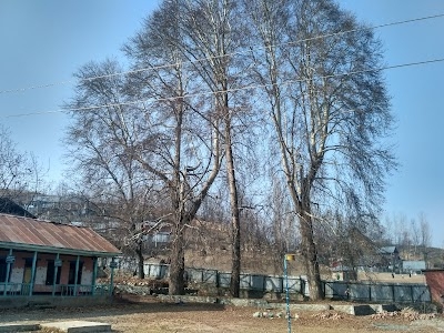Govt Higher Secondary School Pattan