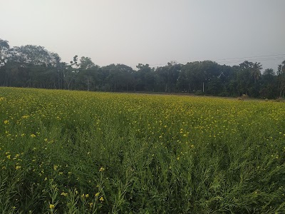 Resident Debasish roy chowdhury