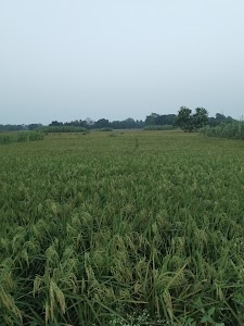 Bahadurpur