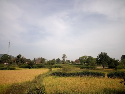 Litisargi